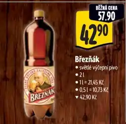 Albert Březňák nabídka