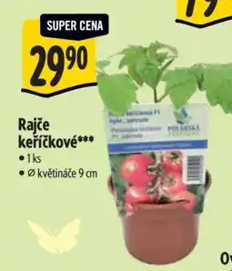 Albert Rajče keříčkové nabídka