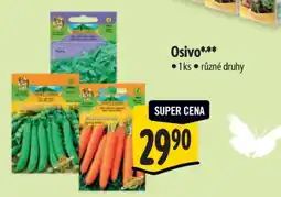 Albert Osivo nabídka