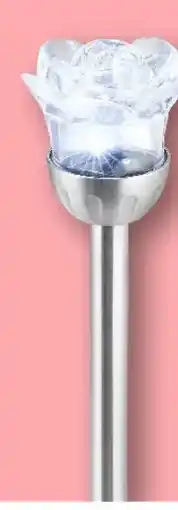 Kik Solární světlo růže nabídka