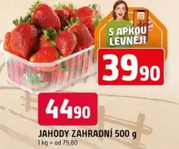 Trefa Jahody zahradní nabídka