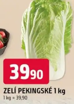 Trefa Zelí pekingské nabídka