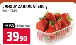 Trefa Jahody zahradní nabídka