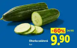 Lidl OKURKA SALÁTOVÁ nabídka