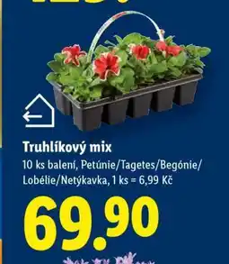 Lidl TRUHLÍKOVÝ MIX nabídka