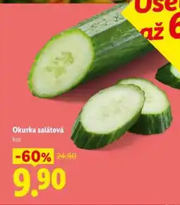 Lidl OKURKA SALÁTOVÁ nabídka