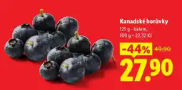 Lidl KANADSKÉ BORŮVKY nabídka