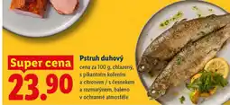 Lidl Pstruh duhový nabídka