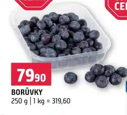 Terno Borůvky nabídka