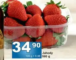 Jip Jahody nabídka
