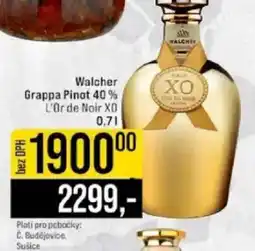 Jip Walcher Grappa Pinot 40% L'Or de Noir XO nabídka