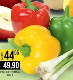 Jip Paprika trikolora nabídka