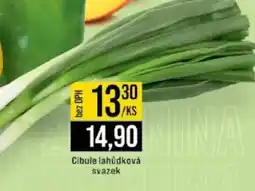 Jip Cibule lahůdková svazek nabídka