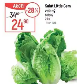 Globus Salát Little Gem zelený nabídka