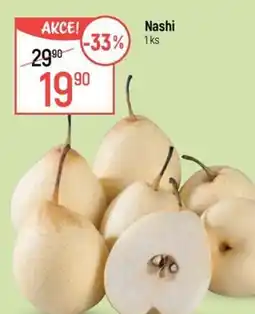 Globus Nashi nabídka