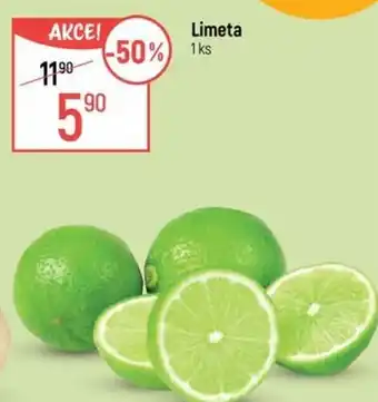 Globus Limeta nabídka