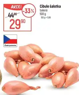 Globus Cibule šalotka nabídka