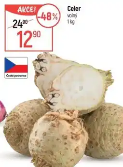 Globus Celer volný nabídka