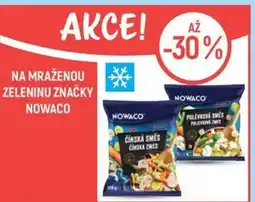 Globus Na mraženou zeleninu značky nowaco nabídka