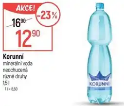 Globus Korunní nabídka