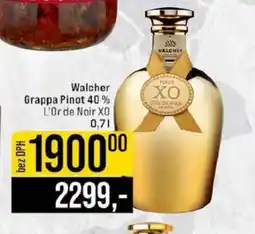 Jip Walcher Grappa Pinot 40 % L’Or de Noir XO 0,7l nabídka
