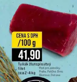 Jip Tuňák žlutoploutvý filet nabídka
