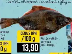 Jip PLATÝS VELKÝ nabídka