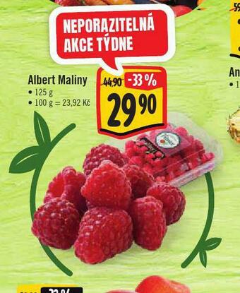 Jip Maliny nabídka