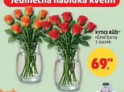 Penny Market Kytice Růže nabídka