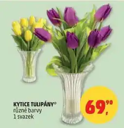 Penny Market Kytice tulipány nabídka