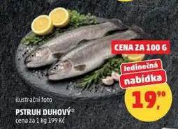 Penny Market Pstruh duhový nabídka
