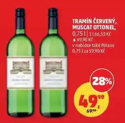Penny Market TRAMÍN ČERVENÝ, MUSCAT OTTONEL nabídka