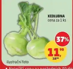 Penny Market KEDLUBNA nabídka