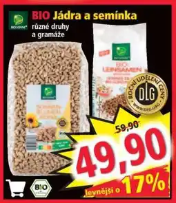 Norma BIO Jádra a semínka nabídka