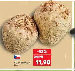 Kaufland Celer bulvový nabídka