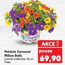 Kaufland Petúnie Carneval Milion Bells nabídka