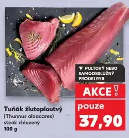 Kaufland Tuňák žlutoploutvý nabídka