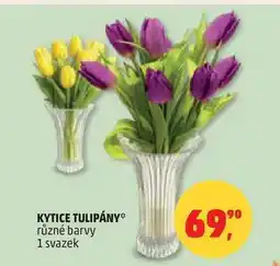 Penny Market KYTICE TULIPÁNY, 1 svazek nabídka