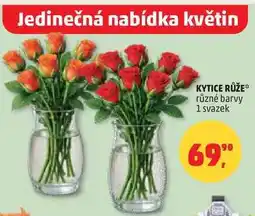 Penny Market KYTICE RŮŽE, 1 svazek nabídka