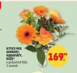 Penny Market KYTICE MIX GERBERY, KARAFIÁTY, RŮŽE, 1 svazek nabídka