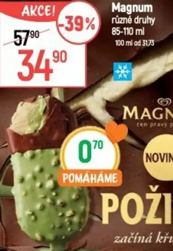 Globus Magnum nabídka