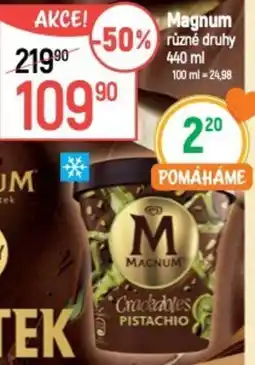 Globus Magnum nabídka