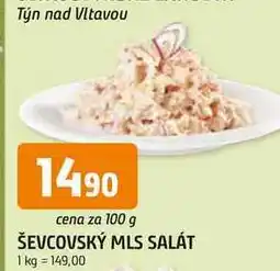 Trefa ŠEVCOVSKÝ MLS SALÁT nabídka