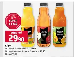 Terno CAPPY 1l 100% Jablečná šťáva 1l Multivitamin, Pomeranč nektar nabídka