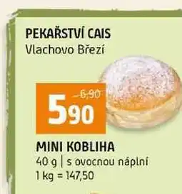 Terno MINI KOBLIHA 40 g s ovocnou náplní nabídka