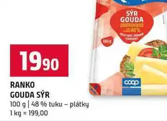 Terno RANKO GOUDA SÝR 100 g 48 % tuku plátky nabídka