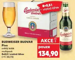 Kaufland BUDWEISER BUDVAR Pivo nabídka
