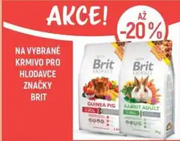 Globus Na vybrané krmivo pro hlodavce značky brit nabídka