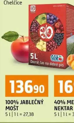 Terno 100% Jablečný mošt nabídka