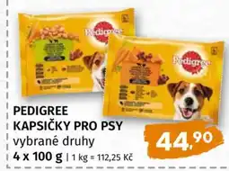 Terno Pedigree kapsičky pro psy nabídka